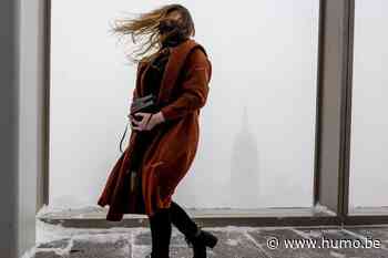 Blijf thuis en parkeer niet naast een boom: hoe hou je het veilig tijdens de zwaarste storm in dertig jaar? - Humo The Wild Site