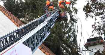 Storm Dudley blaast boom op woning in Haaltert, weinig schade - Het Laatste Nieuws