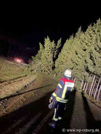 Weiter Sturmwarnung - Zeynep fegt über Oberfranken - Neue Presse Coburg