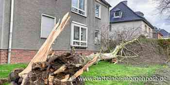 Waltrop ist im Vergleich glimpflich davongekommen – sagt die Feuerwehr - Dattelner Morgenpost