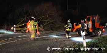 Sturm Zeynep in Waltrop: Erster Einsatz für die Feuerwehr - Hertener Allgemeine