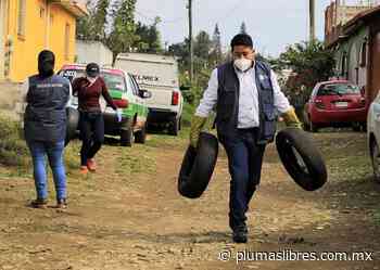 Continúa Ayuntamiento de Xalapa con jornadas de descacharrización - plumas libres