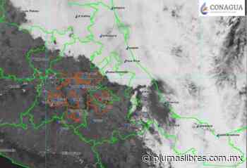 Persistirá el ambiente fresco y algunas lluvias en Veracruz - plumas libres