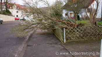 Unwetter in Fulda: Was droht uns mit Tief „Zeynep“? - Fuldaer Zeitung