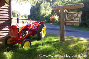 Comox's Sieffert's Farm Market first certified farm in BC to offer living wage – Comox Valley Record - Comox Valley Record