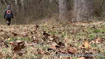 W.A.T.E.R. Team Inc. takes search for Codi Bigsby to Williamsburg, York County