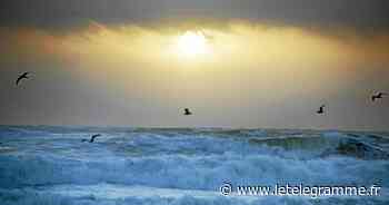 L’économie bleue tient forum le 22 février à Lorient - Le Télégramme