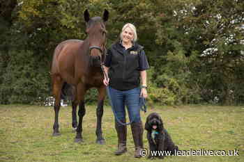 Wrexham couple launch animal physical therapy web app - The Leader