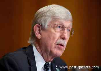 Animal research essential to medical innovations - Pittsburgh Post-Gazette