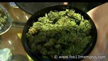 Medical marijuana in Southaven and the mayor’s zoning concerns - FOX13 Memphis