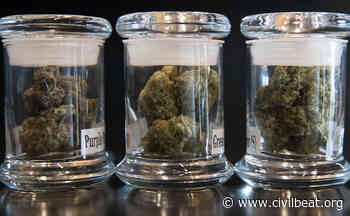 Over The Age Of 65? This Bill Would Qualify You For Medical Pot - Honolulu Civil Beat
