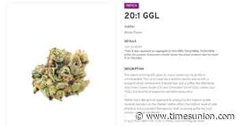 New York changing medical pot rule prohibiting strain names - Times Union