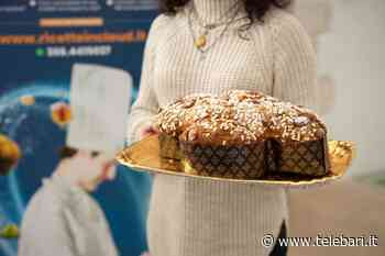 "Divina colomba" artigianale, a Bari in 40 per la sfida finale: il 7 marzo la premiazione dei vincitori - Telebari