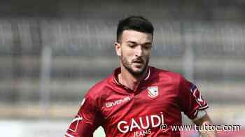 Bari, Bianco: "Periodo di appannamento, non perdiamo l'entusiasmo" - Tutto Lega Pro