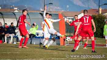 Serie D, girone C: i convocati dell'Este per la sfida contro il Montebelluna - PadovaOggi