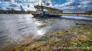 Elbe steigt in Dresden an einem Tag um fast einen Meter - Sächsische.de