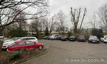 Drei Bäume müssen für Kraftwerk in Verl weichen - Die Glocke