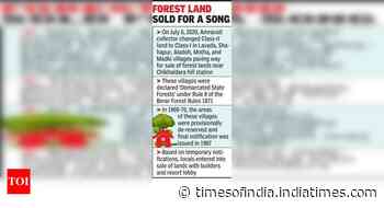 Forest dept admits land deals in Chikhaldara against rules - Times of India
