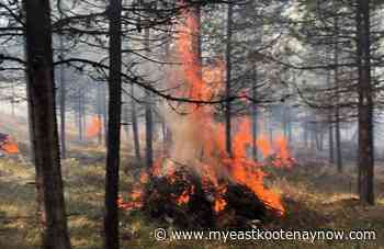 Contractors to burn debris piles near Cranbrook Community Forest - My East Kootenay Now