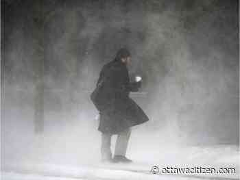 Weather: Another warming trend that you might not notice at first on account of the wind chill