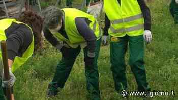 AutAcademy, al Parco di Monza un futuro senza barriere: al via il percorso di formazione - IL GIORNO
