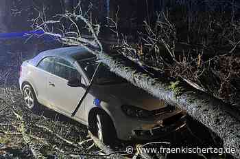 „Ylenia“ lässt in Kronach Bäume knicken - Fränkischer Tag