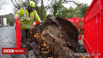 Storm Franklin: More wind warnings after Storm Eunice
