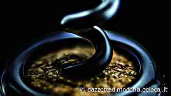 Modena nasce l'Atlante dei lambruschi, l'enciclopedia del vino «che non se la tira» - La Gazzetta di Modena