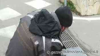 Vignola. Cede la grata in strada Ragazzina incastrata - La Gazzetta di Modena