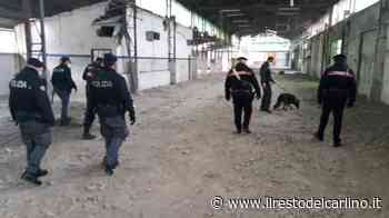 Modena, rave party abusivo a Campogalliano: 156 identificati - il Resto del Carlino