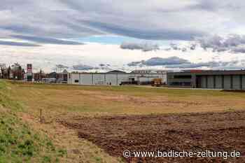Die Debatte um den Betriebshof in Kenzingen beginnt neu - Kenzingen - Badische Zeitung