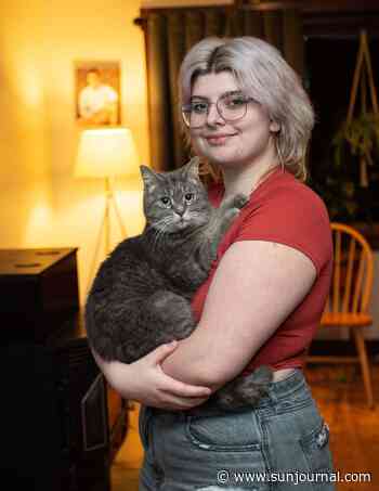 Home again! Chesterville cat returns from Florida - Lewiston Sun Journal - Lewiston Sun Journal