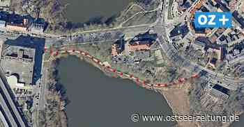 Stralsund: Vorsicht, Baumpflegearbeiten im Bananenweg! - Ostsee Zeitung