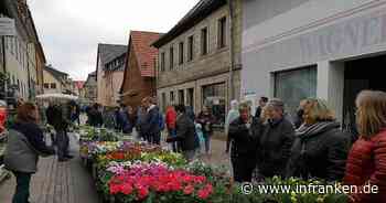Warum sich Bischofsheim ein neues Marktkonzept gegeben hat - inFranken.de