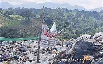 Reconoce alcalde de Coatepec problemas con la recolección de basura - Diario de Xalapa