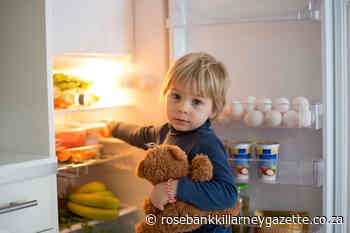 Why snacking can be good for your child's brain - Rosebank Killarney Gazette