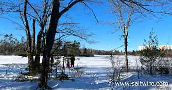 HIKING NOVA SCOTIA: Lakeview Trail looks different, but still great, in winter - SaltWire Network