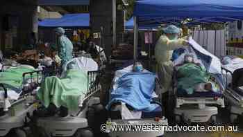 Hong Kong in 'all-out combat' with virus - Western Advocate