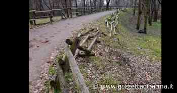 Campus, lo stradello con la staccionata "che fu" - Gazzetta di Parma