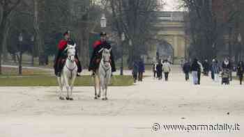 A Parma le pattuglie a cavallo dei Carabinieri - - ParmaDaily.it