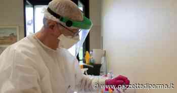 Avis, donatori in aumento. Ma mancano medici e infermieri - Gazzetta di Parma