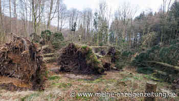 Orkan in Deutschland: Tief „Zeynep“ fordert Tote – der nächste heftige Sturm steht ab 21 Uhr an