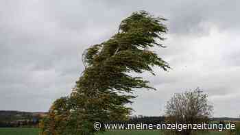 Orkan-Böen in der Nacht - DWD erteilt Unwetterwarnung für weite Teile Bayerns
