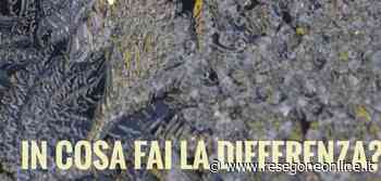 notizie da Lecco e provincia » Dunque inizia - ResegoneOnline