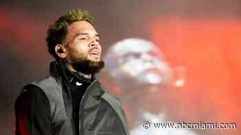 Police Reports Detail Battery Allegations Against Chris Brown in Miami Beach