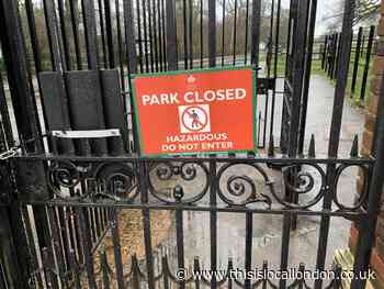Red Alert in South West London. Joe Treacy, Hampton School