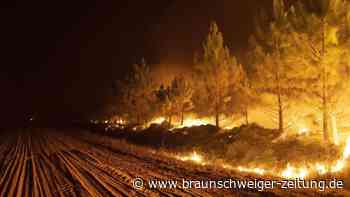 Brände in Argentinien: Gouverneur bittet USA um Hilfe