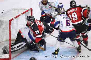 DEL: Kölner Haie gewinnen gegen Schlusslicht Iserlohn Roosters - Express.de