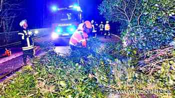 Sturm in Iserlohn & Hemer: Feuerwehren an Kapazitätsgrenzen - IKZ News