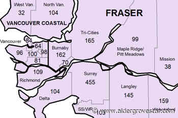 COVID cases continue slow decline in Langley – Aldergrove Star - Aldergrove Star